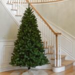 7 ft. North Valley Spruce Tree - Image 3