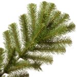 7.5 ft. North Valley Spruce Tree - Image 4