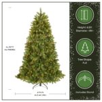6.5 ft. Pre-Lit Downswept Douglas Fir Tree with Clear Lights - Image 3