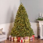 7 ft. Pre-Lit Downswept Douglas Fir Hinged Tree with Clear Lights, Plug-In - Image 2