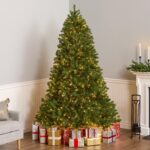 7.5 ft. Pre-Lit Downswept Douglas Fir Full Tree with 750 Clear Lights & 1867 Branch Tips - Image 8