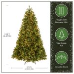 7.5 ft. Pre-Lit Downswept Douglas Fir Full Tree with 750 Clear Lights & 1867 Branch Tips - Image 3