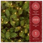 7.5 ft. Pre-Lit Downswept Douglas Fir Full Tree with 750 Clear Lights & 1867 Branch Tips - Image 5