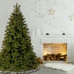 6.5 ft. Downswept Douglas Fir Tree - Image 3