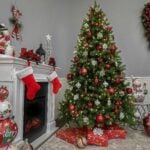 6.5 ft. Downswept Douglas Fir Tree - Image 5