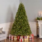 7.5 ft. Pre-Lit Downswept Douglas Fir Hinged Tree with 750 Dual Color LED Lights, Plug-In - Image 2