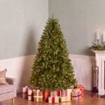 6 ft. Pre-Lit Downswept Douglas Fir Hinged Tree with Clear Lights, Plug-In - Image 2