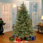 7.5 ft. Pre-Lit Fraser Grande Tree with Clear Lights, Plug-In - Image 5
