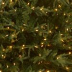 6.5 ft. Pre-Lit Fraser Grande Tree with Dual Color LED Lights, Plug-In - Image 3
