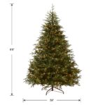 6.5 ft. Pre-Lit Fraser Grande Tree with Dual Color LED Lights, Plug-In - Image 7