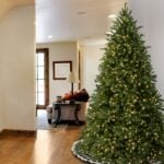 7.5 ft. Pre-Lit Jersey Fraser Fir Tree with Clear Lights, Plug-In - Image 9