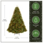 7.5 ft. Pre-Lit Jersey Fraser Fir Tree with Multicolor Lights - Image 4