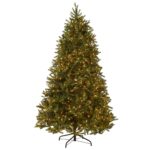 6.5 ft. Pre-Lit Jersey Fraser Fir Medium Tree with Clear Lights, Plug-In - Image 6