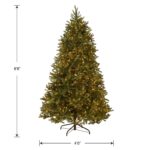 6.5 ft. Pre-Lit Jersey Fraser Fir Medium Tree with Clear Lights, Plug-In - Image 5