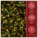 7.5 ft. Pre-Lit Jersey Fraser Fir Medium Tree with Clear Lights - Image 6