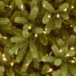 6.5 ft. Pre-Lit Jersey Fraser Fir Slim Tree with Clear Lights, Plug-In - Image 4