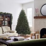 7.5 ft. Newberry Spruce Tree - Image 6