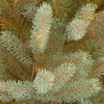 7.5 ft. Norway Fir Tree - Image 8