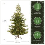6.5 ft. Pre-Lit Norwegian Spruce Tree with Clear Lights, Plug-In - Image 3