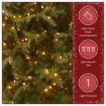 7.5 ft. Pre-Lit Nordic Spruce Slim Tree with Clear Lights, Plug-In - Image 5