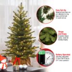 3 ft. Pre-Lit Nordic Spruce Tree with LED Lights - Image 5