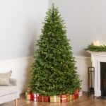 7.5 ft. Pre-Lit Princeton Fraser Fir Full Tree with PowerConnect and Dual Color LED Lights, Plug-In - Image 8