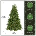 7.5 ft. Pre-Lit Princeton Fraser Fir Full Tree with PowerConnect and Dual Color LED Lights, Plug-In - Image 3