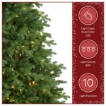 7.5 ft. Pre-Lit Princeton Fraser Fir Full Tree with PowerConnect and Dual Color LED Lights, Plug-In - Image 5