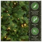 7.5 ft. Pre-Lit Princeton Fraser Fir Full Tree with PowerConnect and Dual Color LED Lights, Plug-In - Image 6