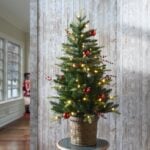 4 ft. Pre-Lit Scotch Creek Fir Tree with LED Lights, Plug-In - Image 2