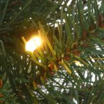 4 ft. Pre-Lit Scotch Creek Fir Tree with LED Lights, Plug-In - Image 3