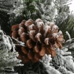 4 ft. Pre-Lit Snowy Bedford Pine Tree with Clear Lights, Plug-In - Image 4