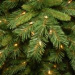 10 ft. Pre-Lit Tiffany Fir Slim Tree with Clear Lights, Plug-In - Image 4