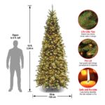 10 ft. Pre-Lit Tiffany Fir Slim Tree with Clear Lights, Plug-In - Image 6